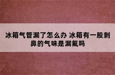 冰箱气管漏了怎么办 冰箱有一股刺鼻的气味是漏氟吗